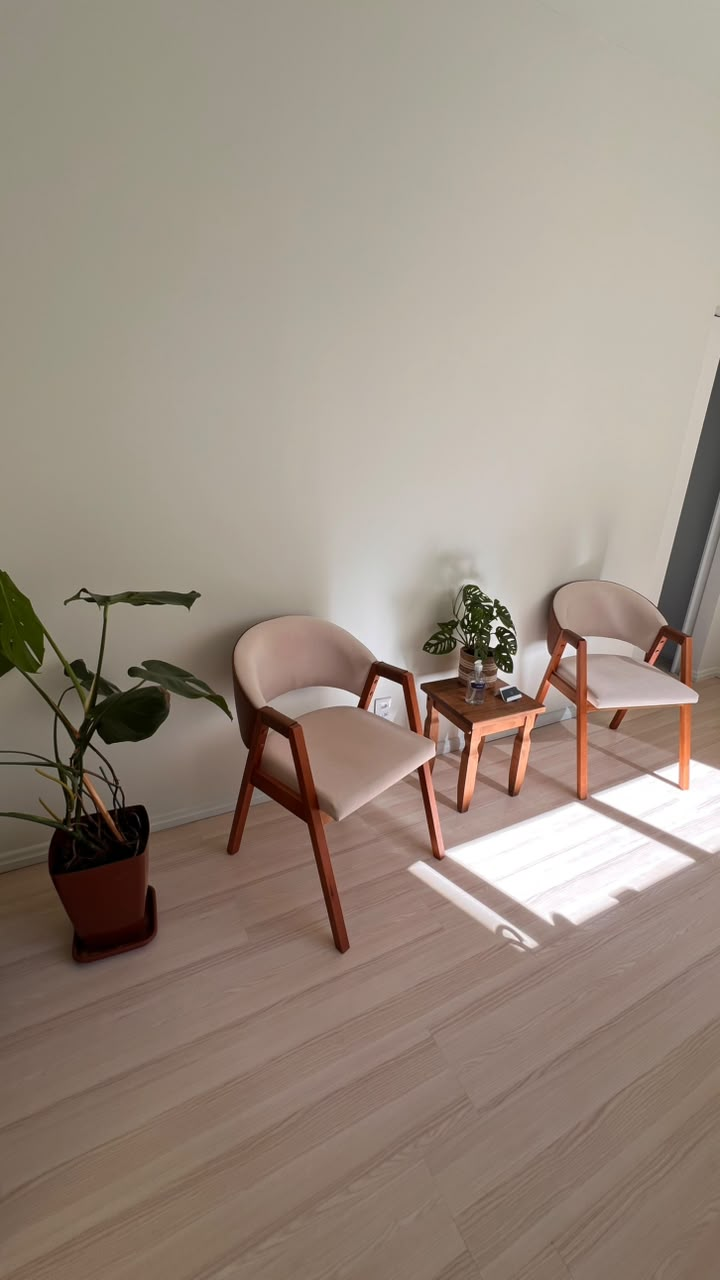 Duas poltronas e plantas em um ambiente iluminado