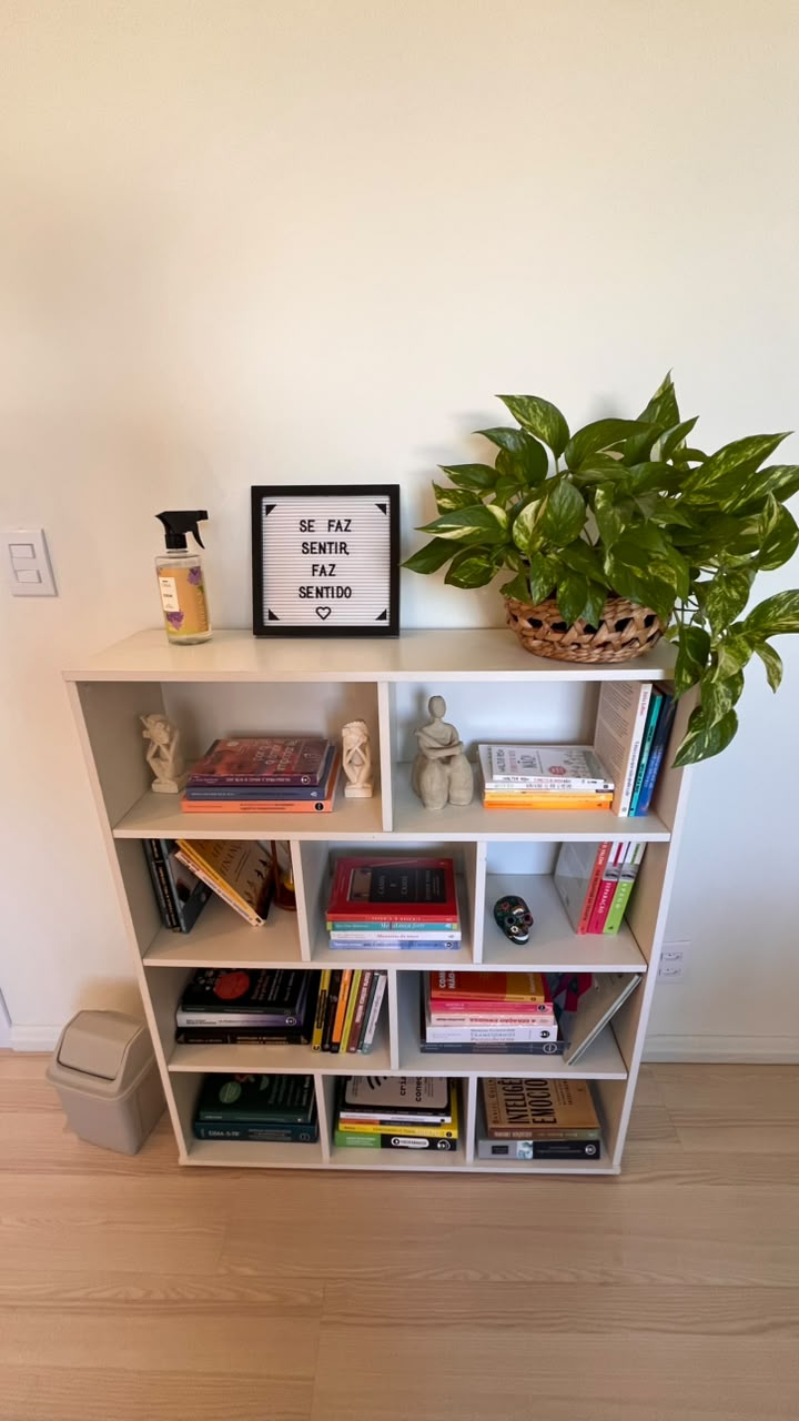 Estante com livros, objetos e uma planta